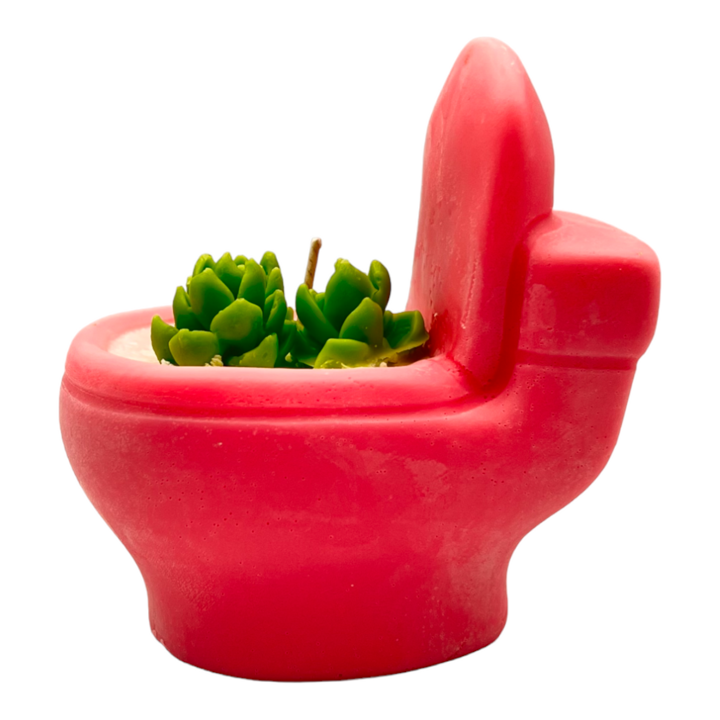 Personalize Funny Unique Toilet Candles