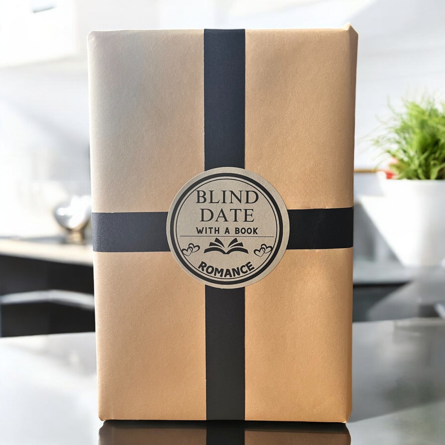 romance genre blind date with a book
