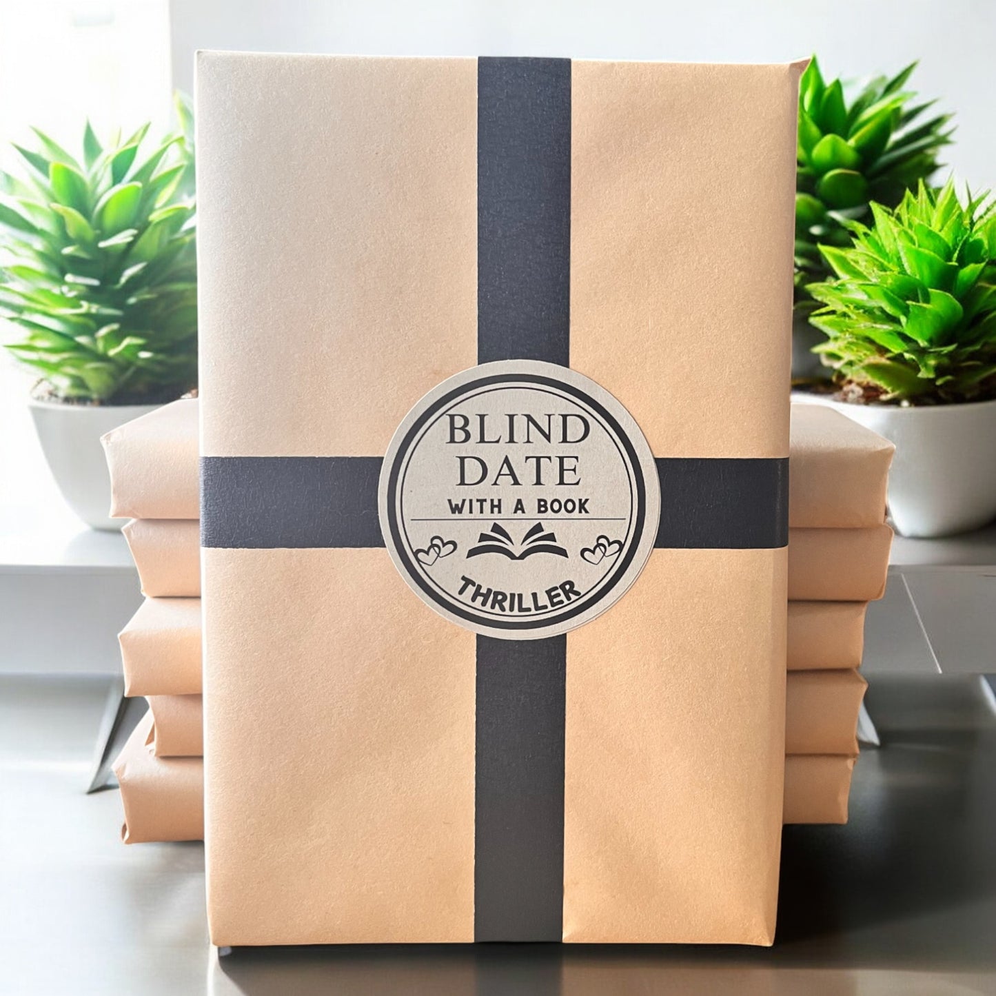 thriller genre blind date with a book