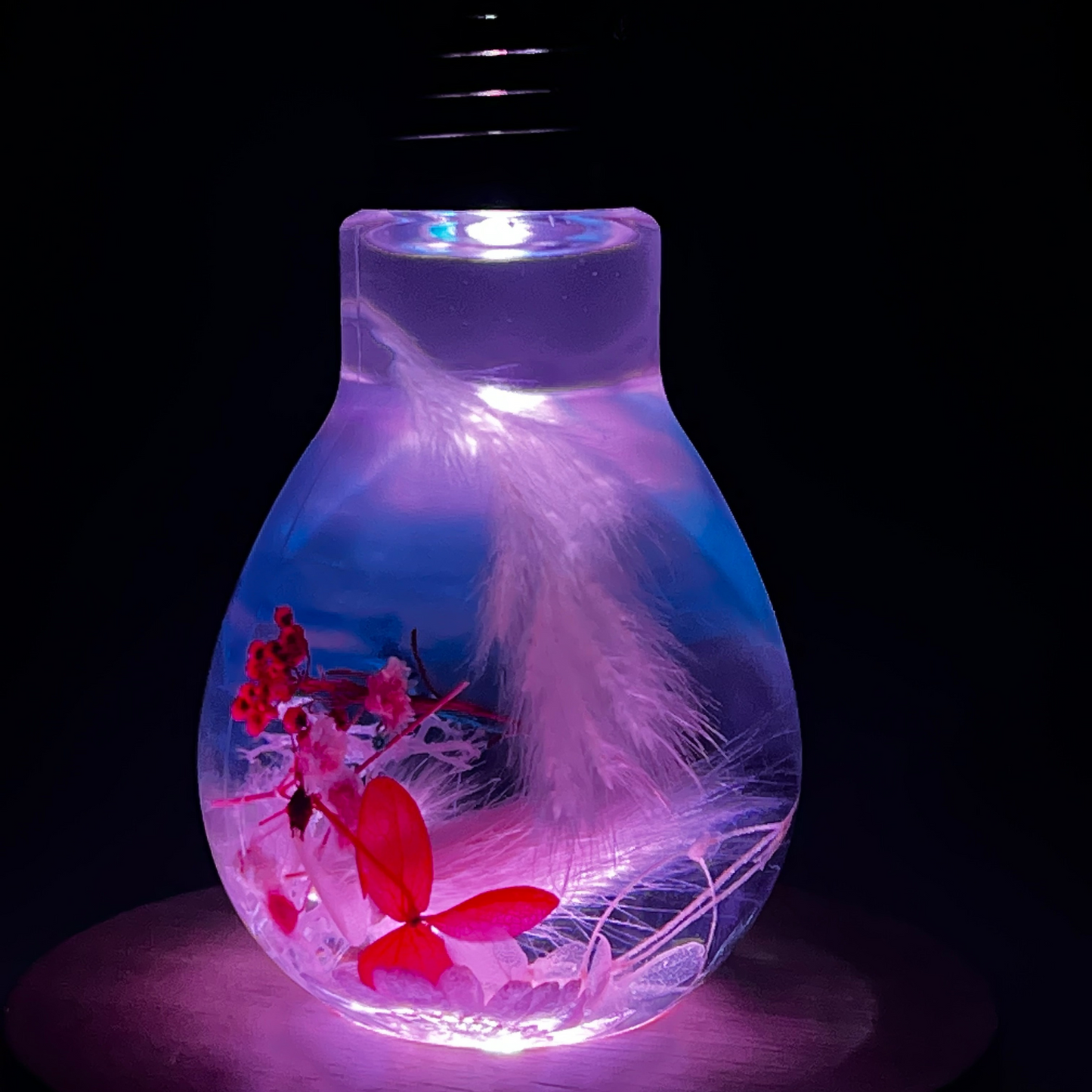 Blossom Light Bulb-Life in Blush & Navy