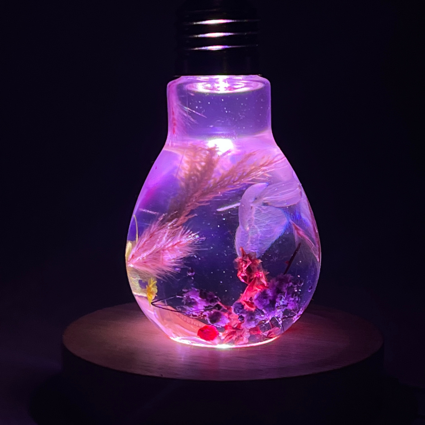 Blossom Light Bulb - Life in White