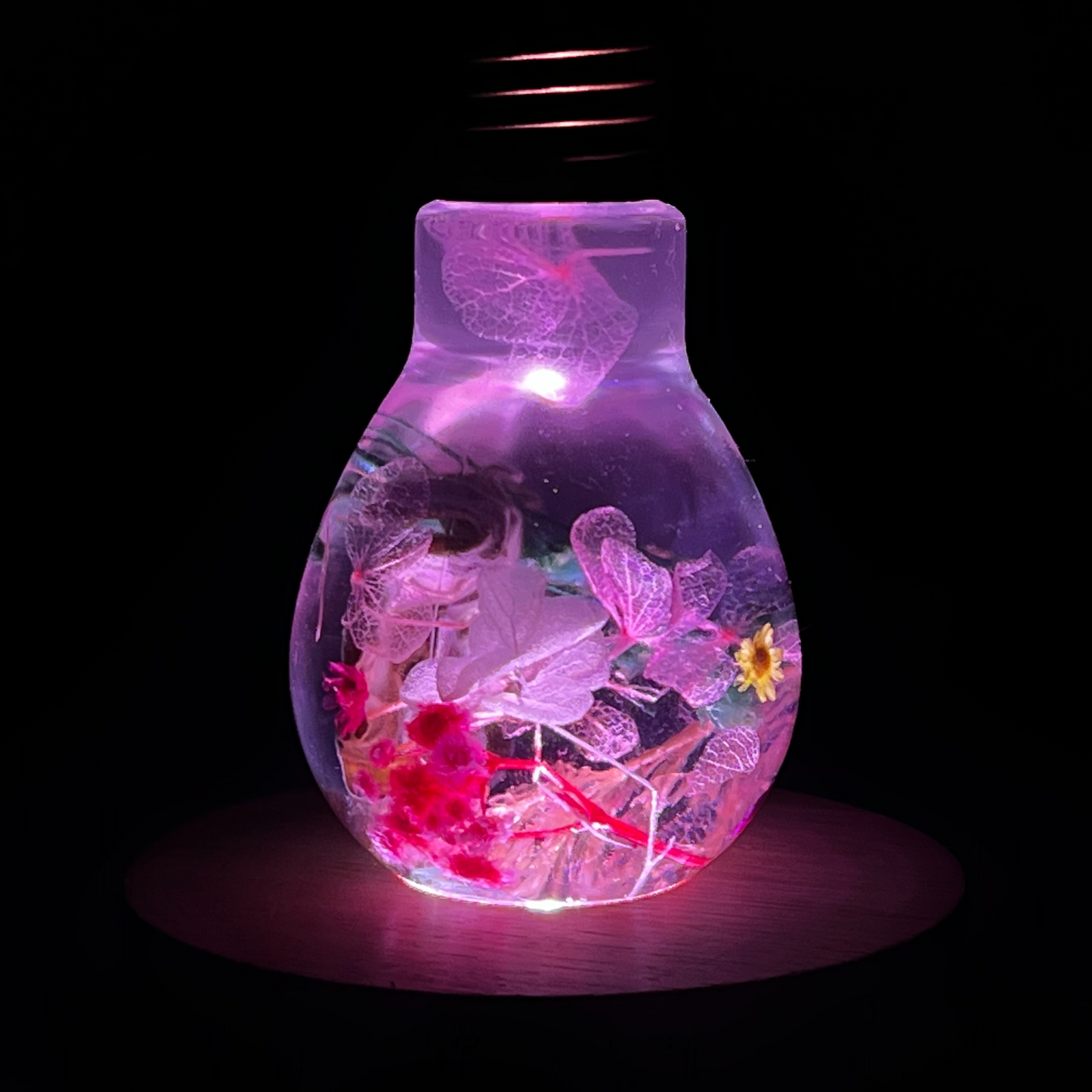 Blossom Light Bulb-Life in Blush & Navy
