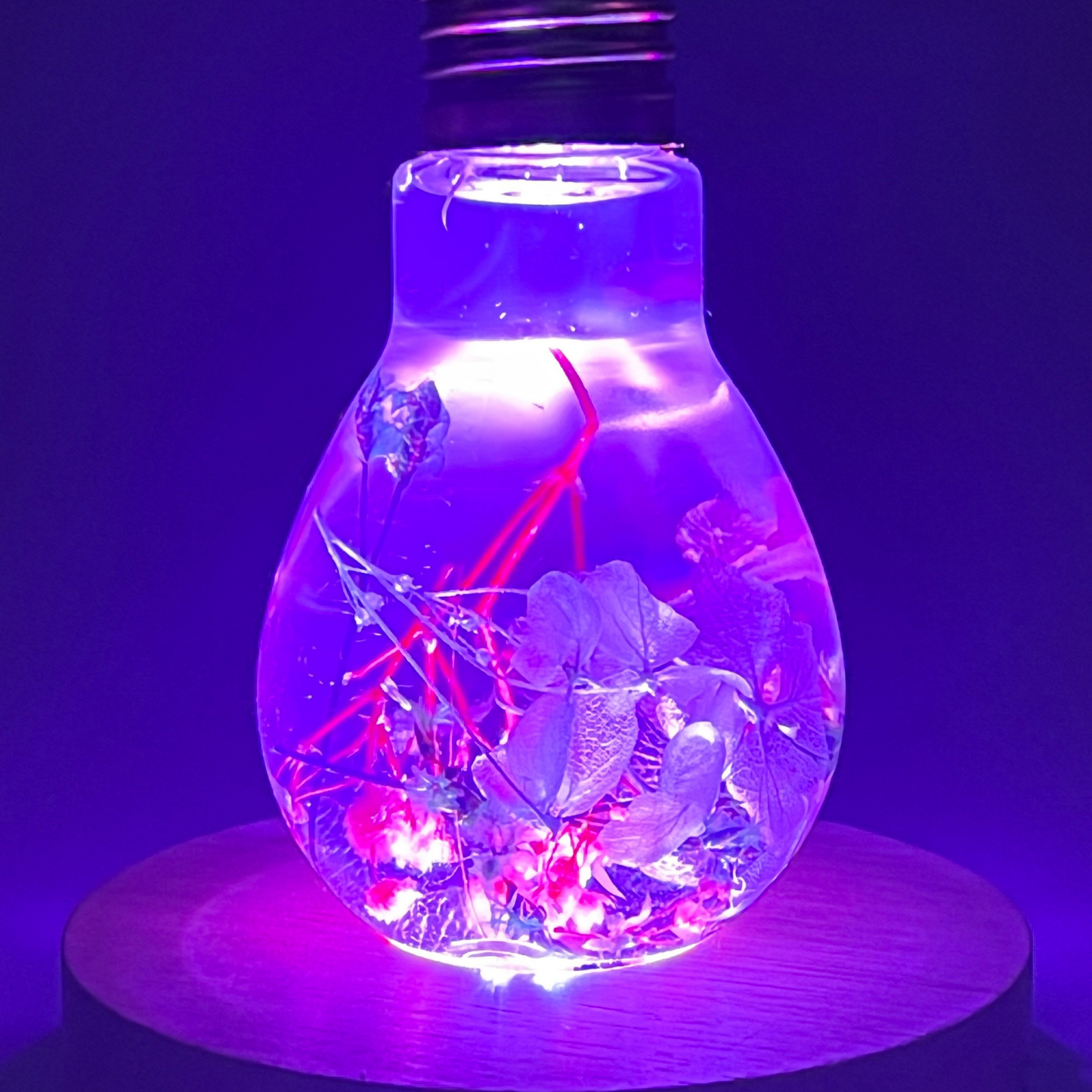 Blossom Light Bulb-Life in Blush & Navy