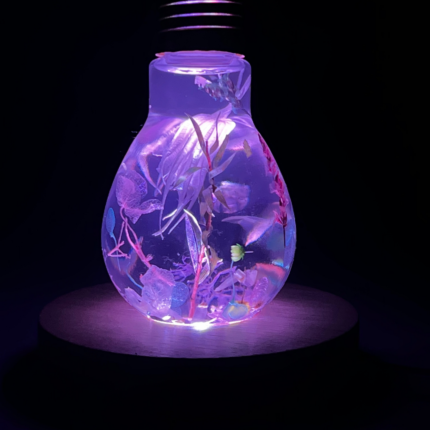 Blossom Light Bulb-Life in Blush & Navy