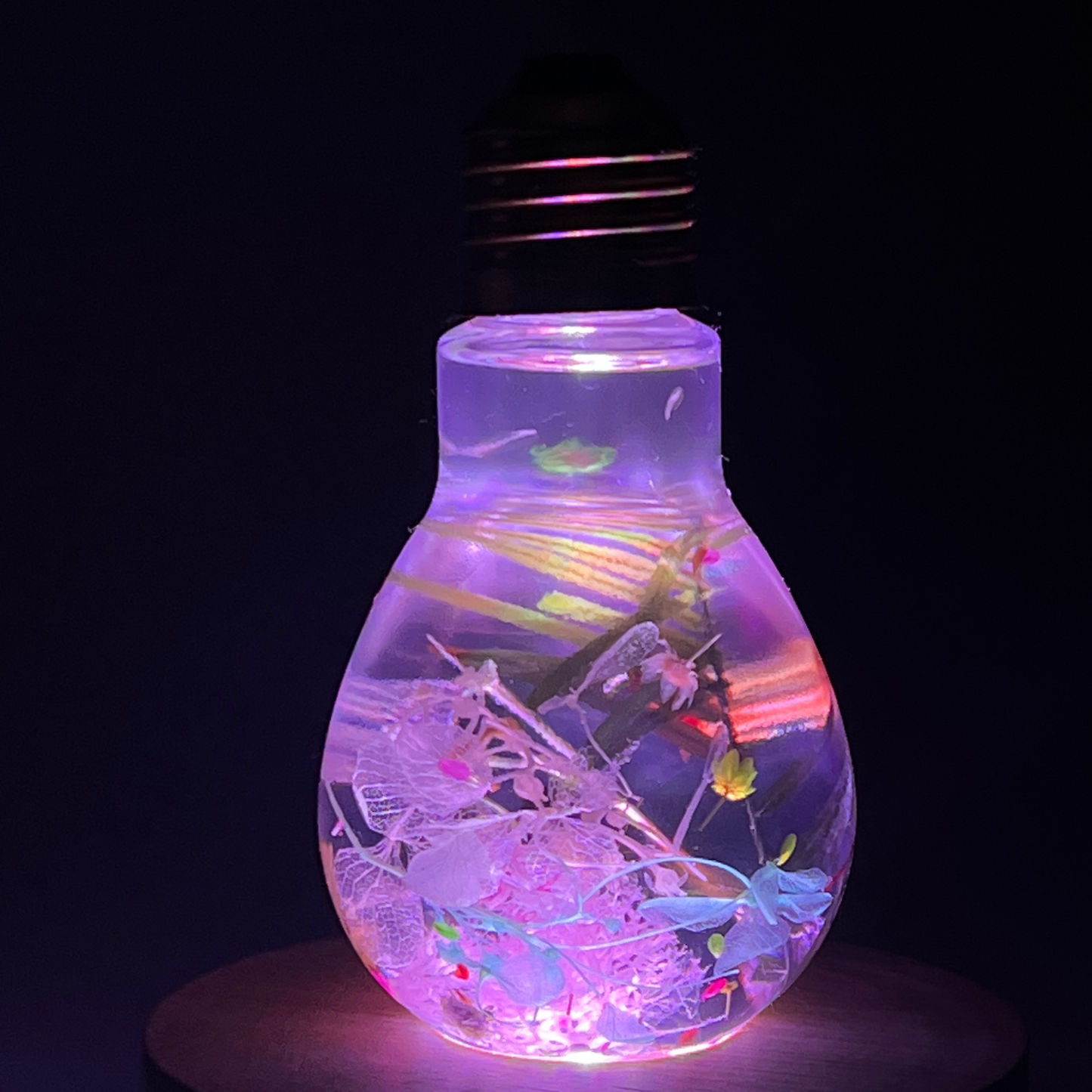 Blossom Light Bulb-Life in Blush & Navy