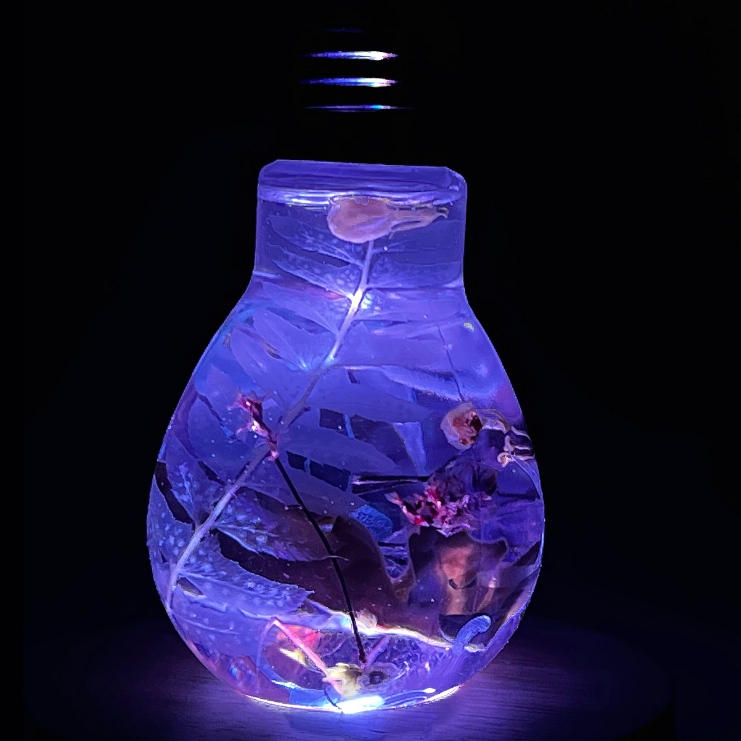 Blossom Light Bulb - Life in White