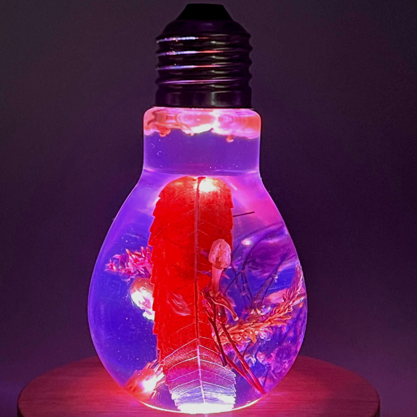 Blossom Light Bulb - Life in Purple