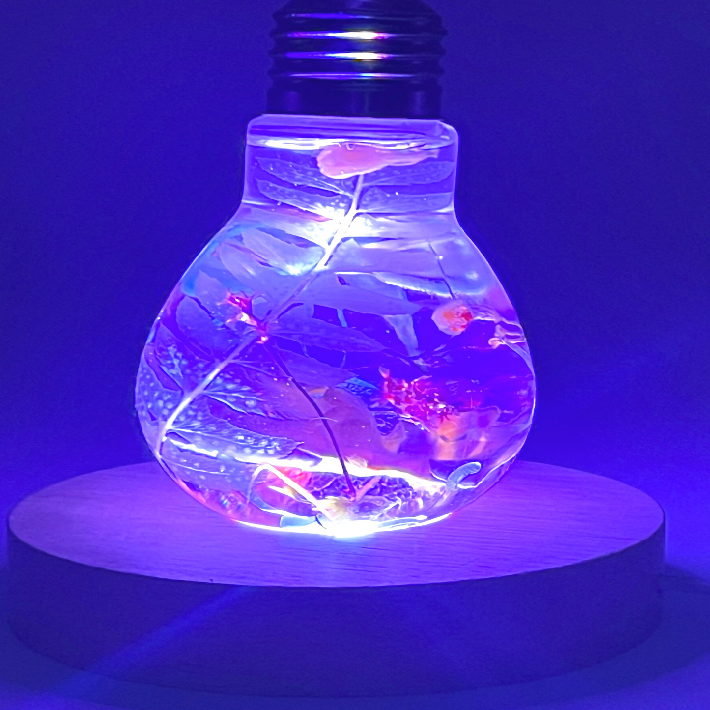 Blossom Light Bulb - Life in White