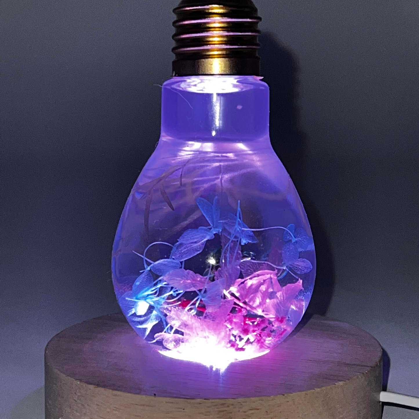 Blossom Light Bulb-Life in Blush & Navy