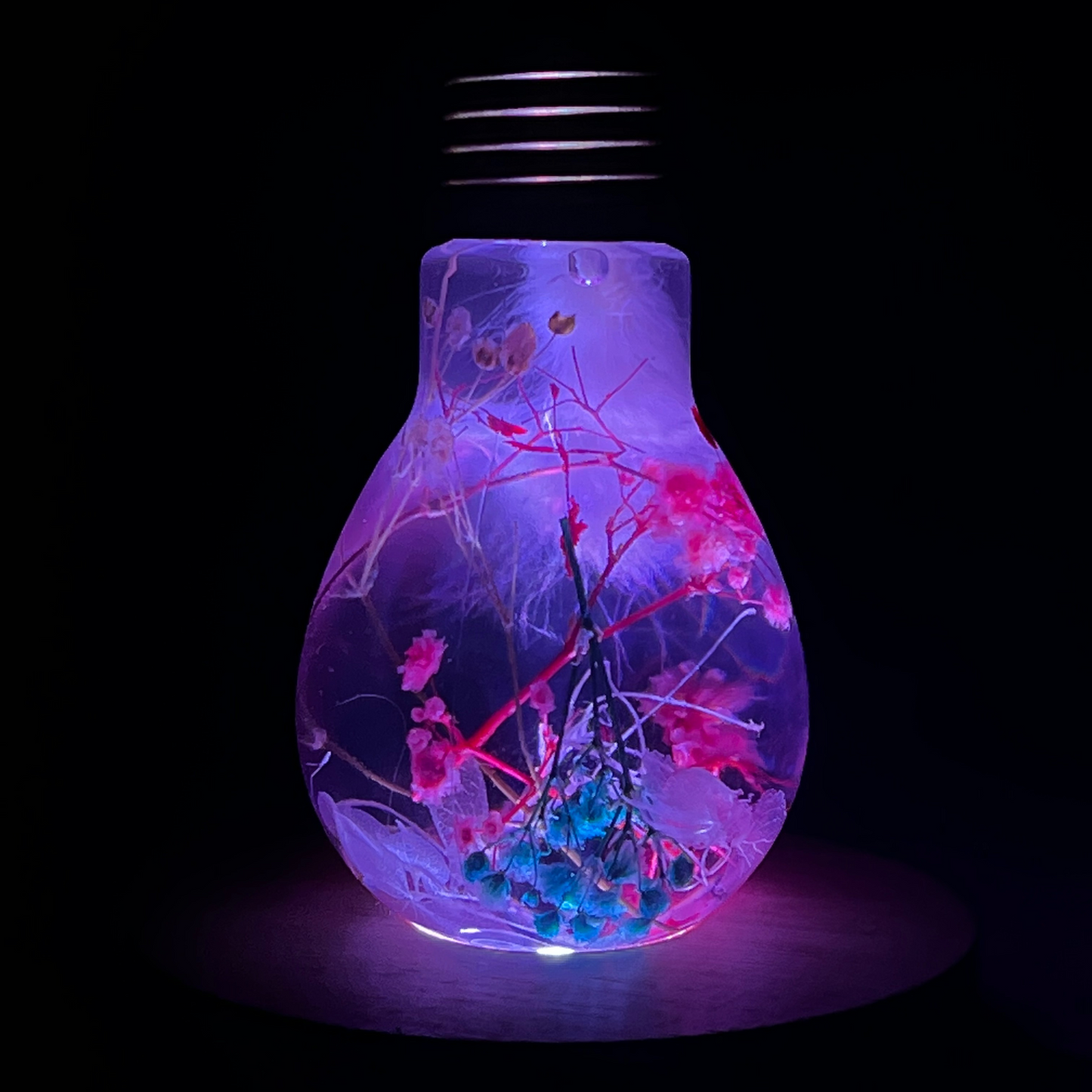 Blossom Light Bulb-Life in Blush & Navy
