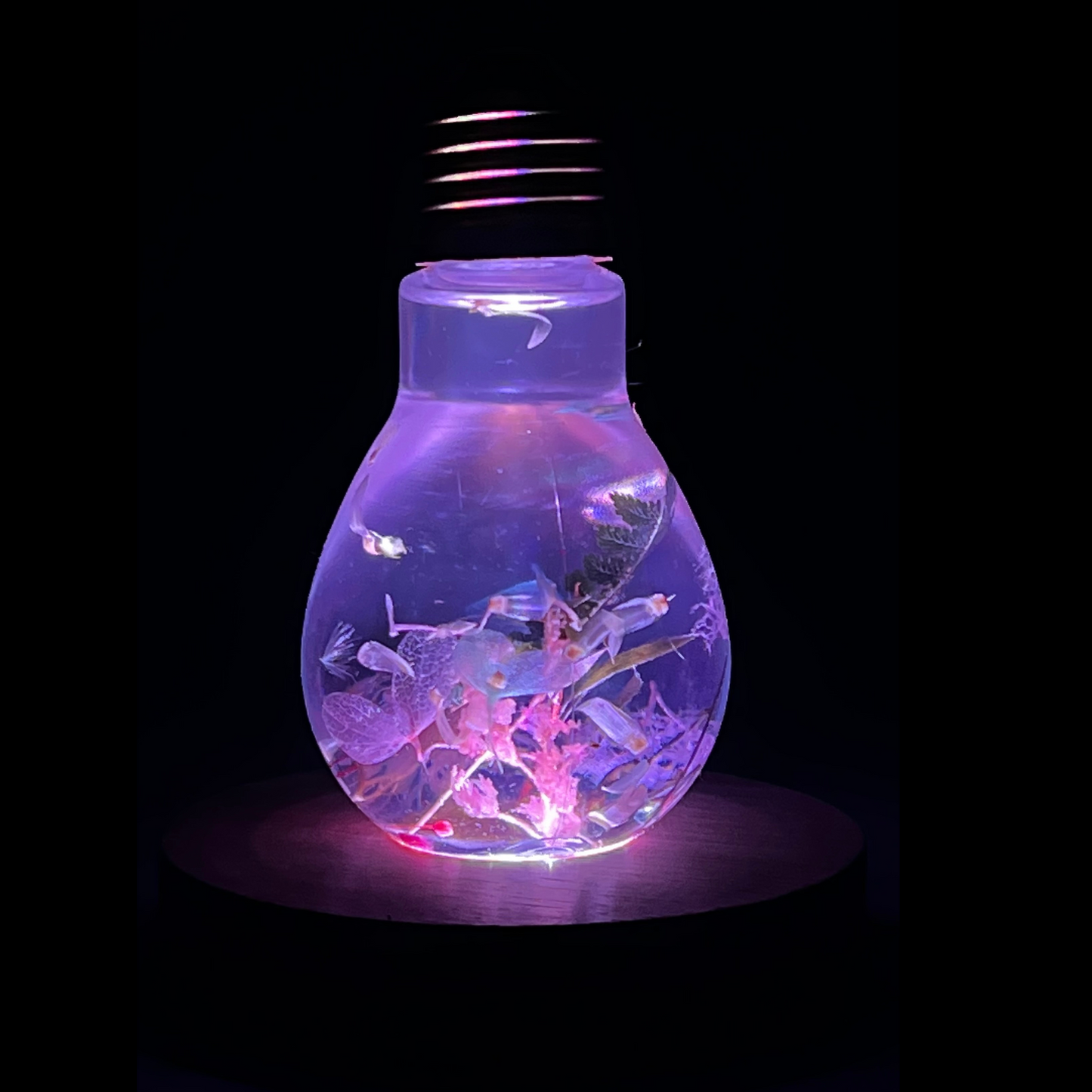 Blossom Light Bulb - Life in Pink