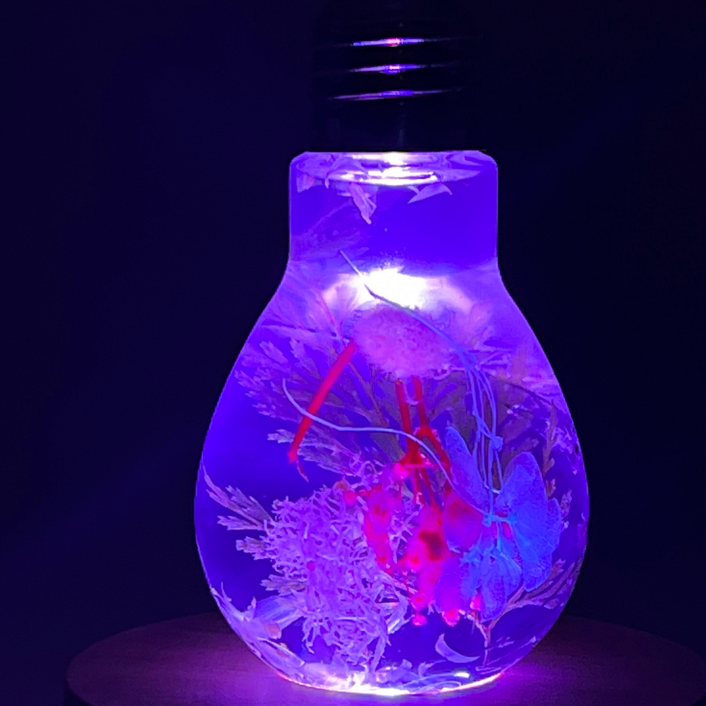 Blossom Light Bulb - Life in Pink