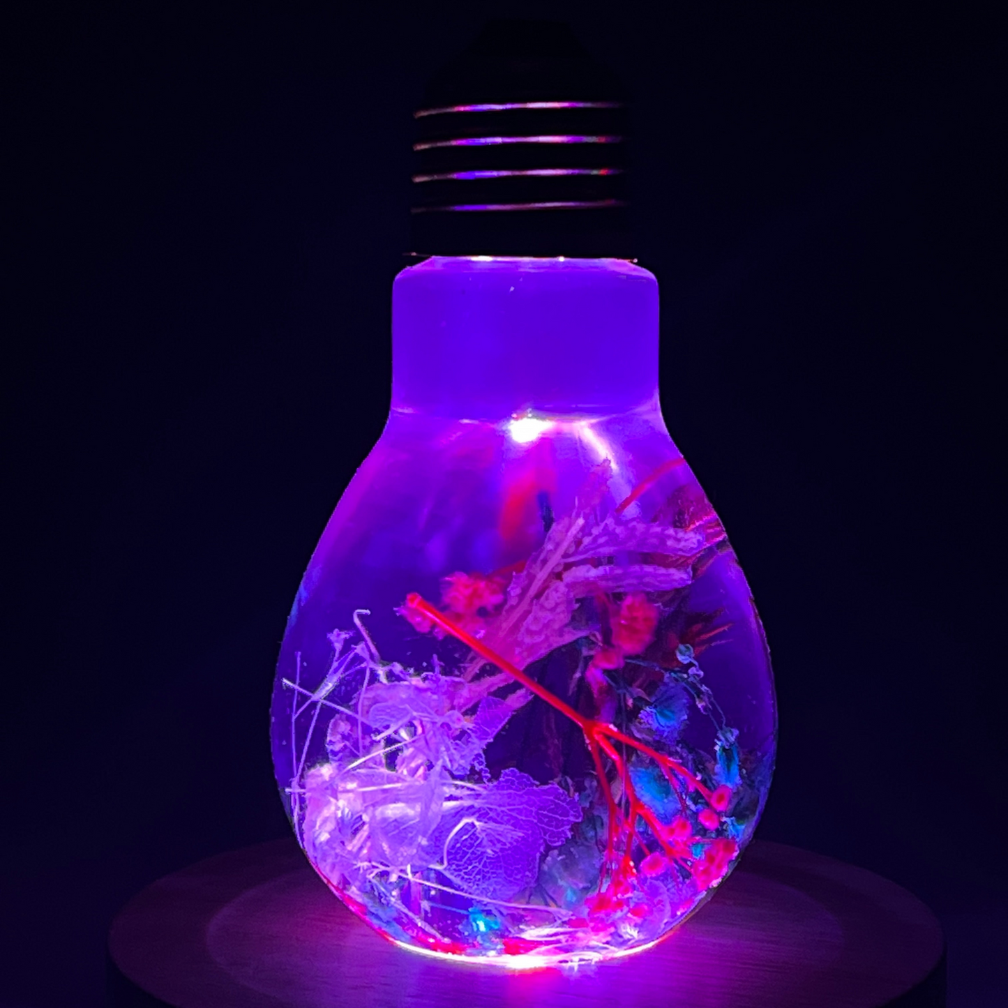 Blossom Light Bulb-Life in Blush & Navy