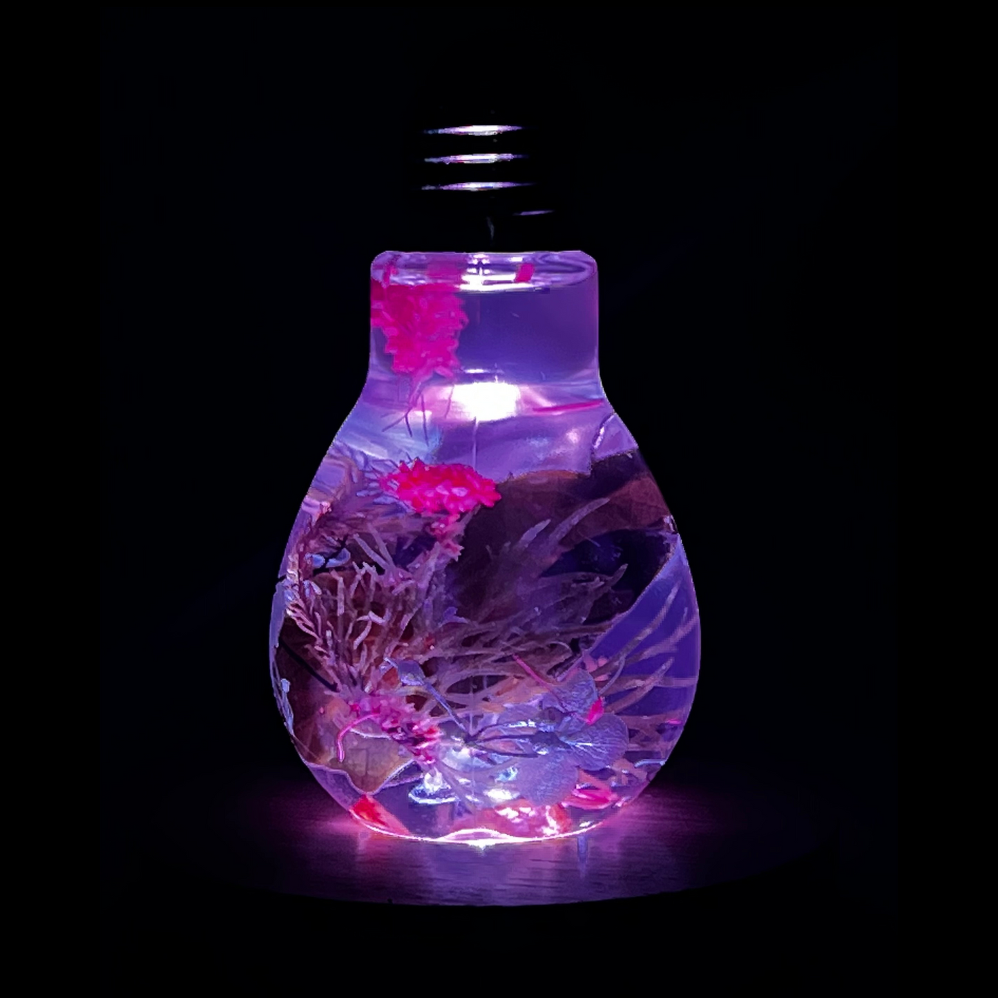 Blossom Light Bulb - Life in Pink