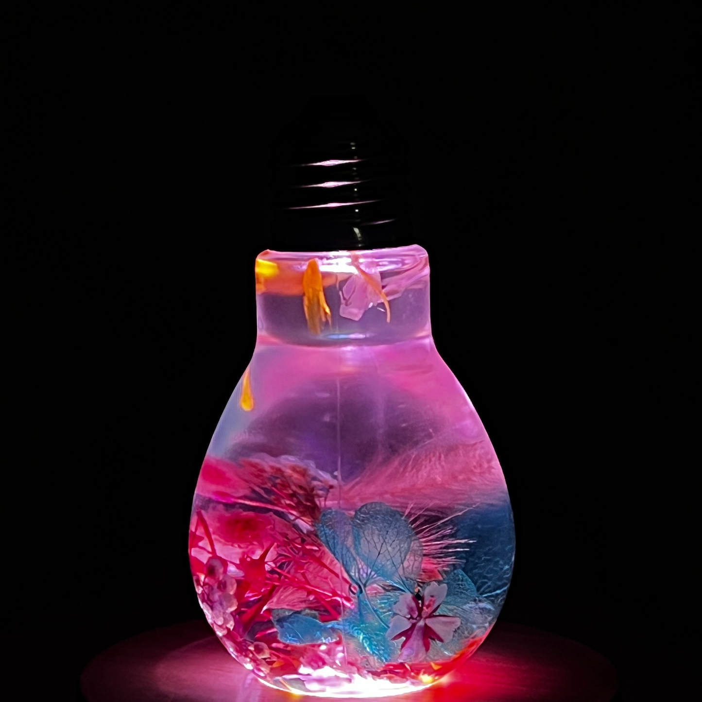 Blossom Light Bulb-Life in Blush & Navy