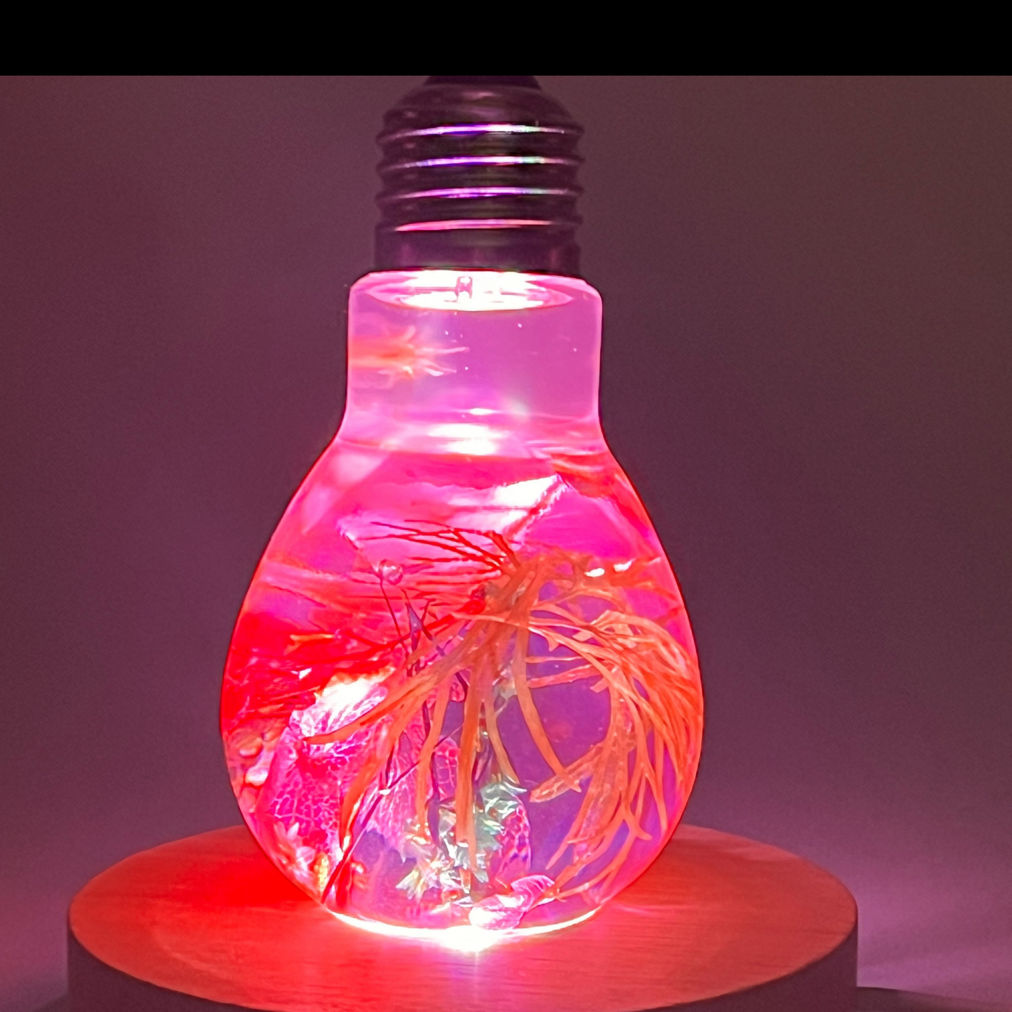 Blossom Light Bulb - Life in Pink