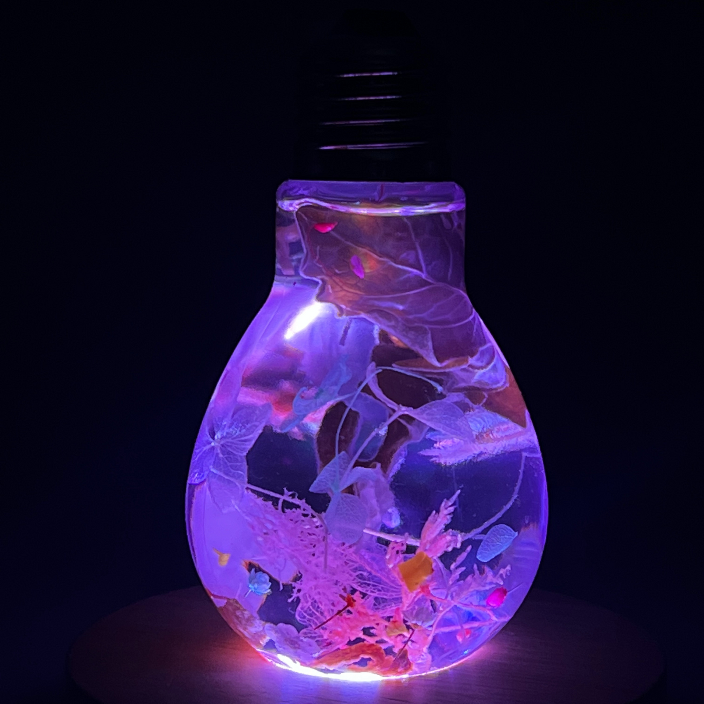 Blossom Light Bulb-Life in Blush & Navy
