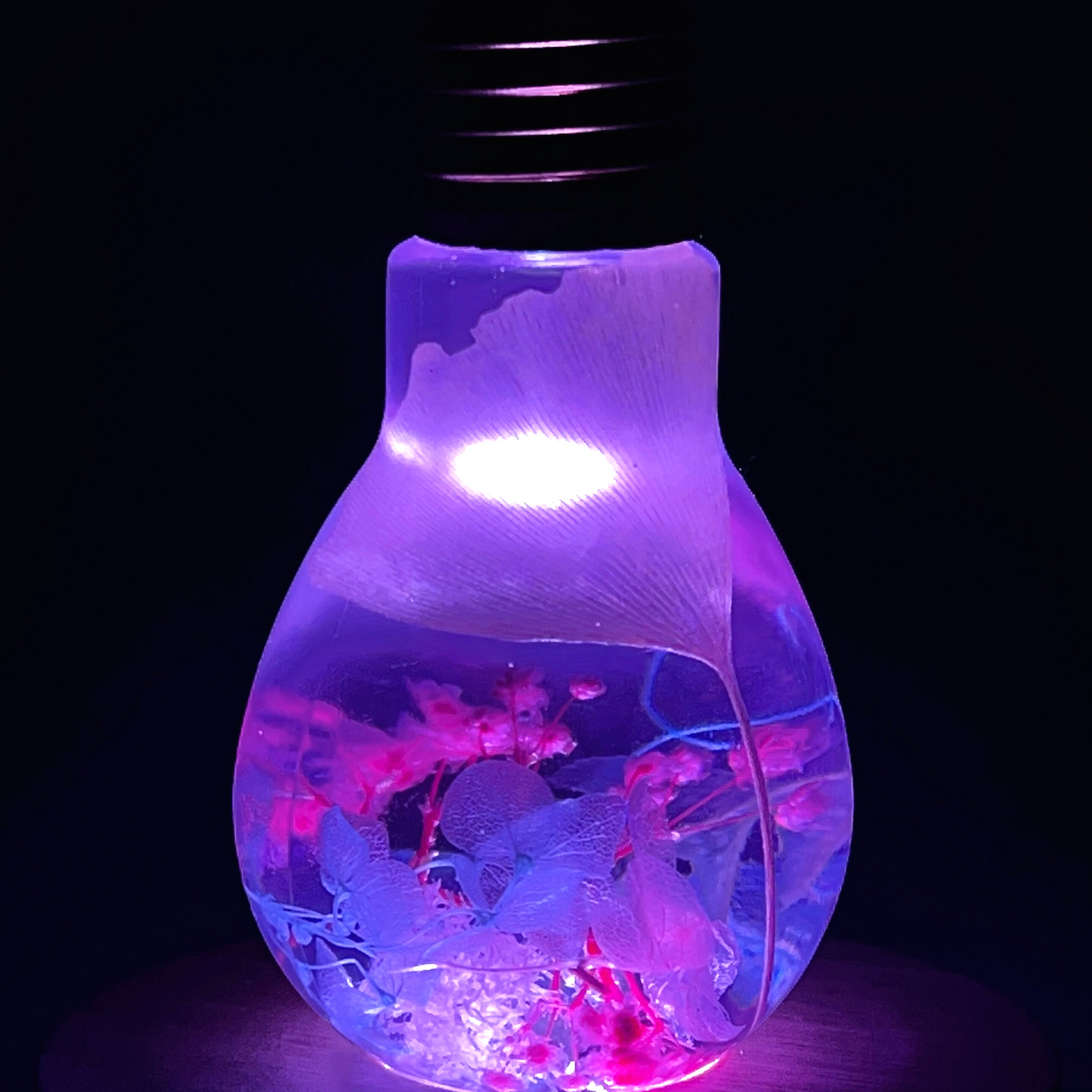 Blossom Light Bulb-Life in Blush & Navy
