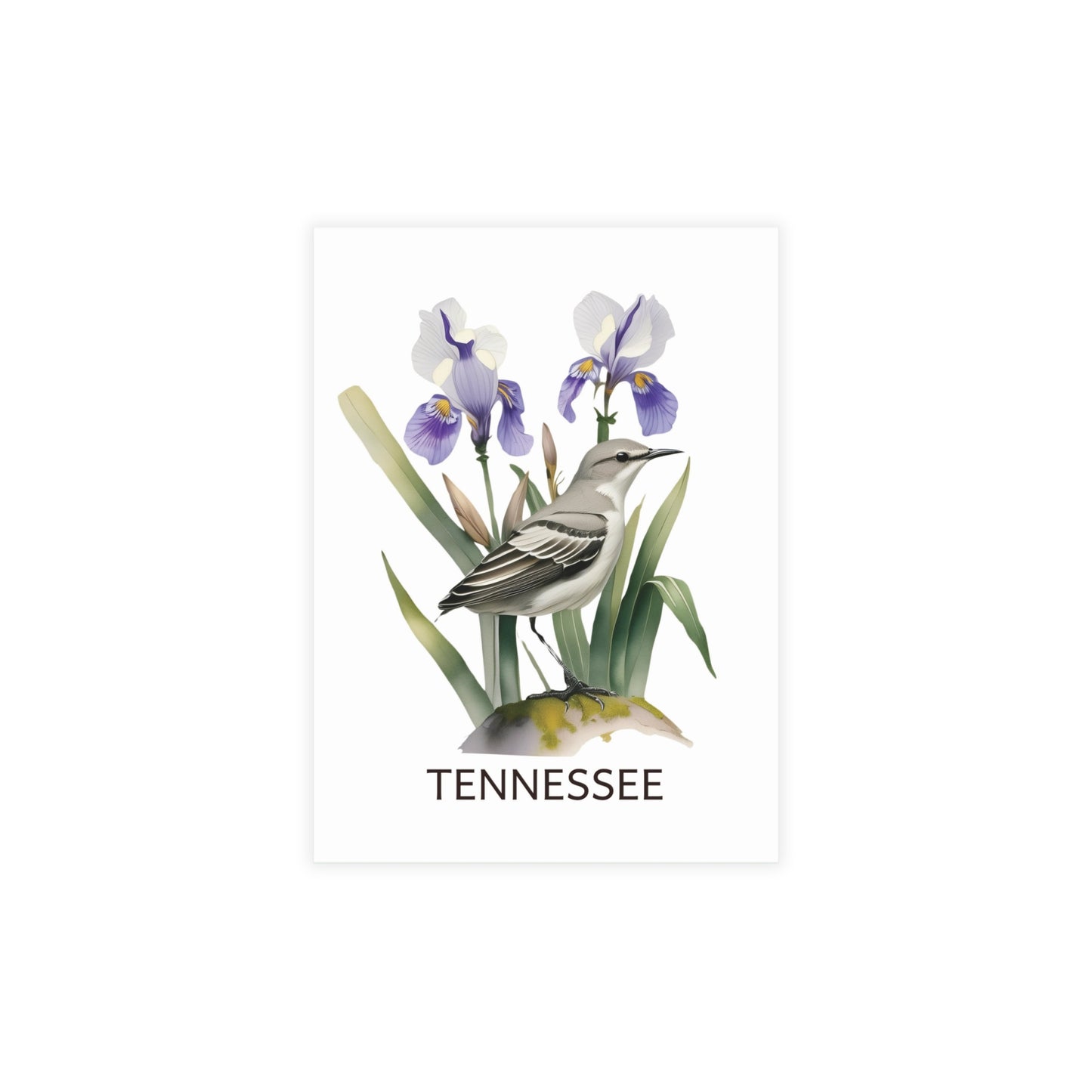 Tennessee | Mockingbird & Purple Iris | Home State Greeting Card