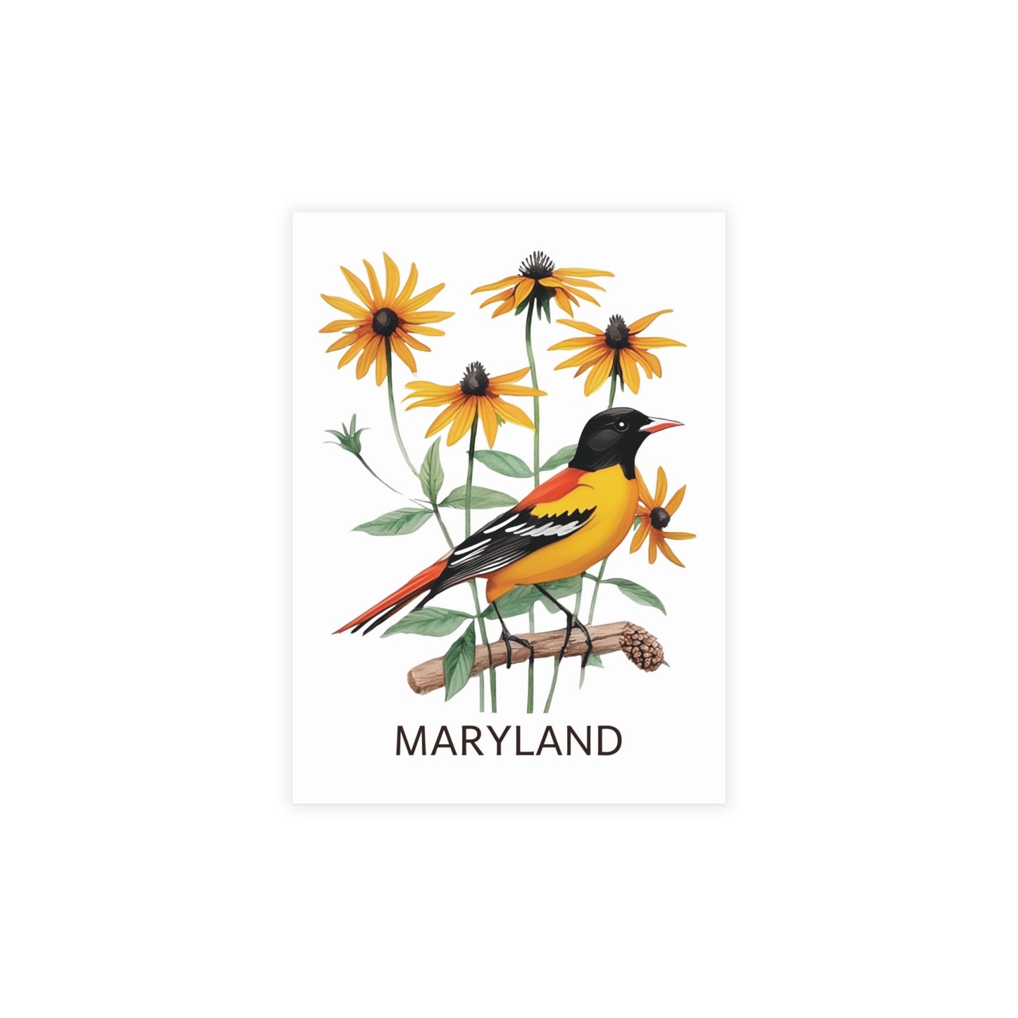 Maryland | Oriole & Black-eyed Susan | Home State Greeting Card