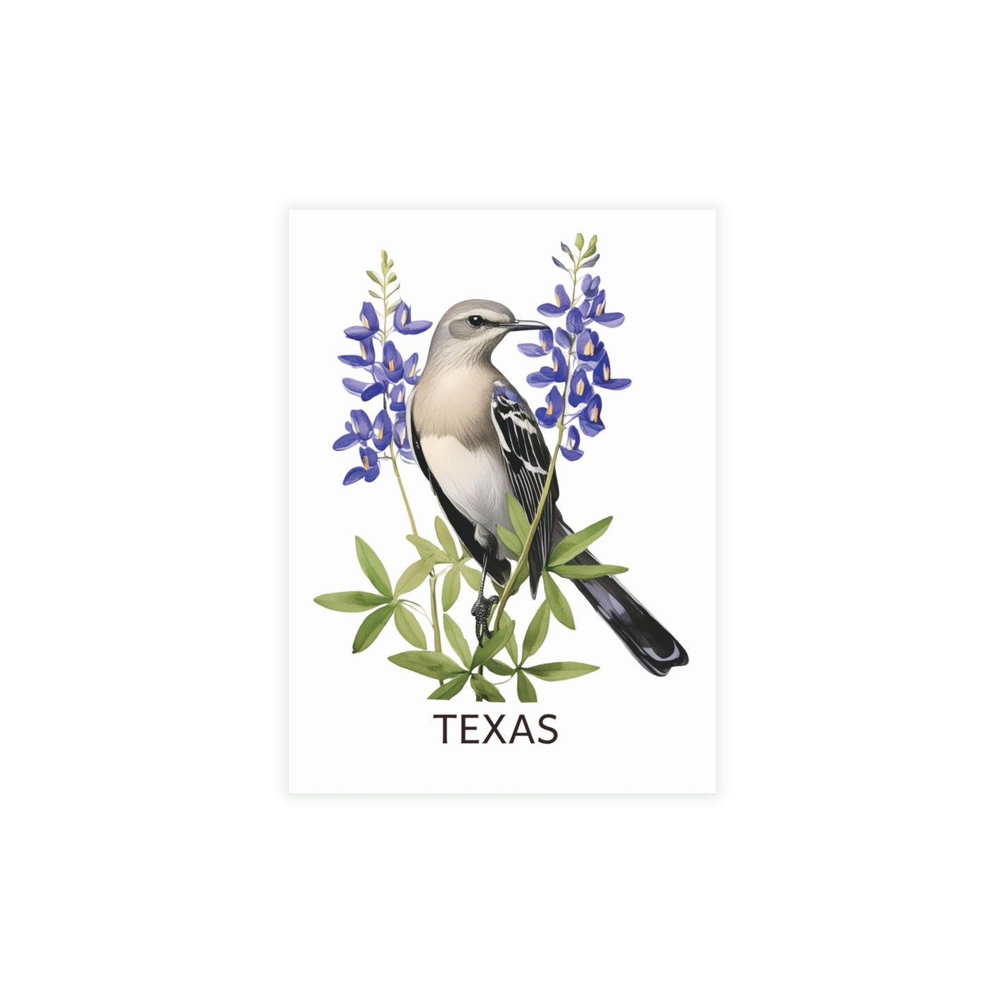 Texas | Mockingbird & Bluebonnets | Home State Greeting Card