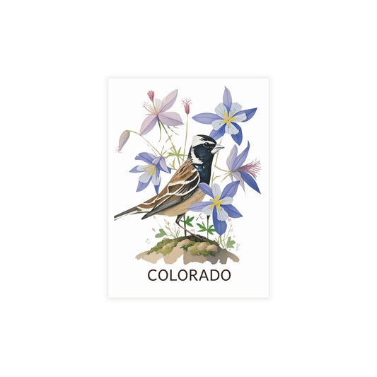 Colorado | Lark Bunting & Rocky Mountain Columbines | Home State Greeting Card