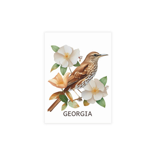 Georgia | Brown Thrasher & Cherokee Rose | Home State Greeting Card