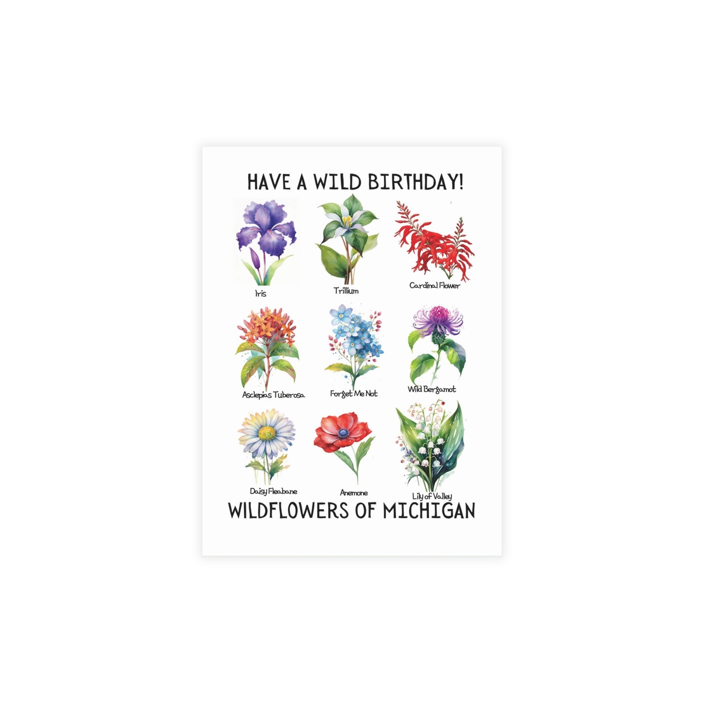 Have a Wild Birthday | Michigan Wildflowers | Home State Greeting Card