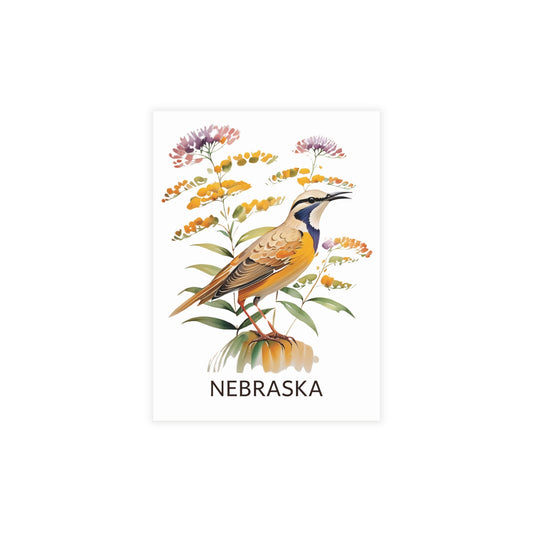 Nebraska | Meadowlark Bird & Goldenrod Flowers | Home State Greeting Card