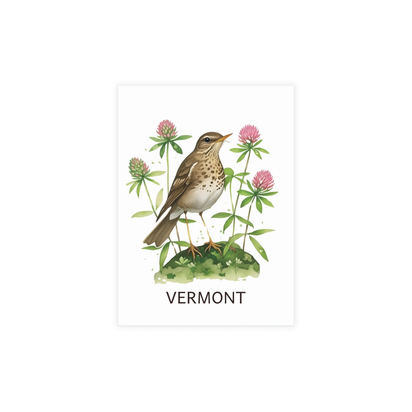 Vermont | Hermit Thrush & Clovers | Home State Greeting Card