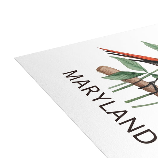 Maryland | Oriole & Black-eyed Susan | Home State Greeting Card