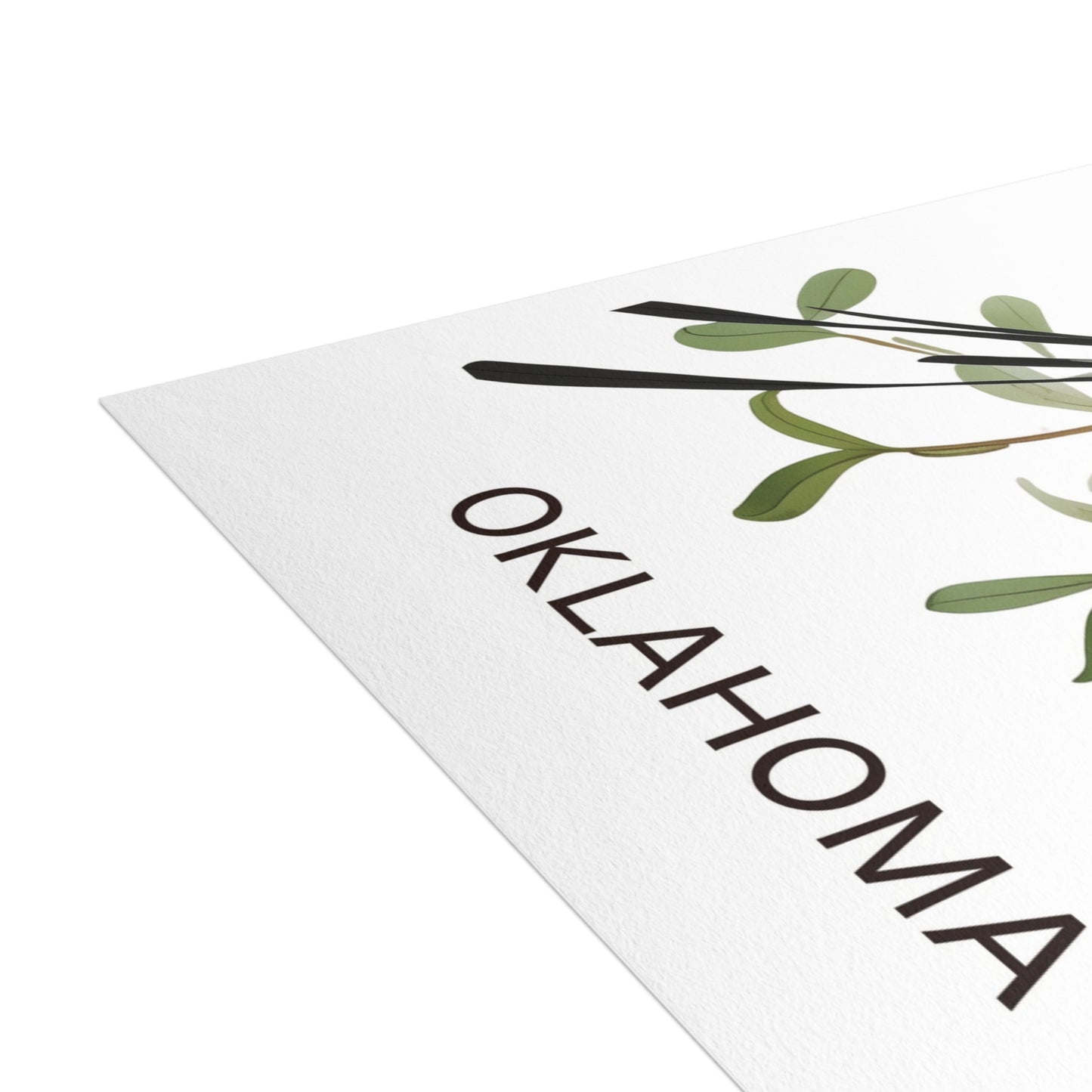 Oklahoma | Scissor-tailed Flycatcher | Home State Greeting Card