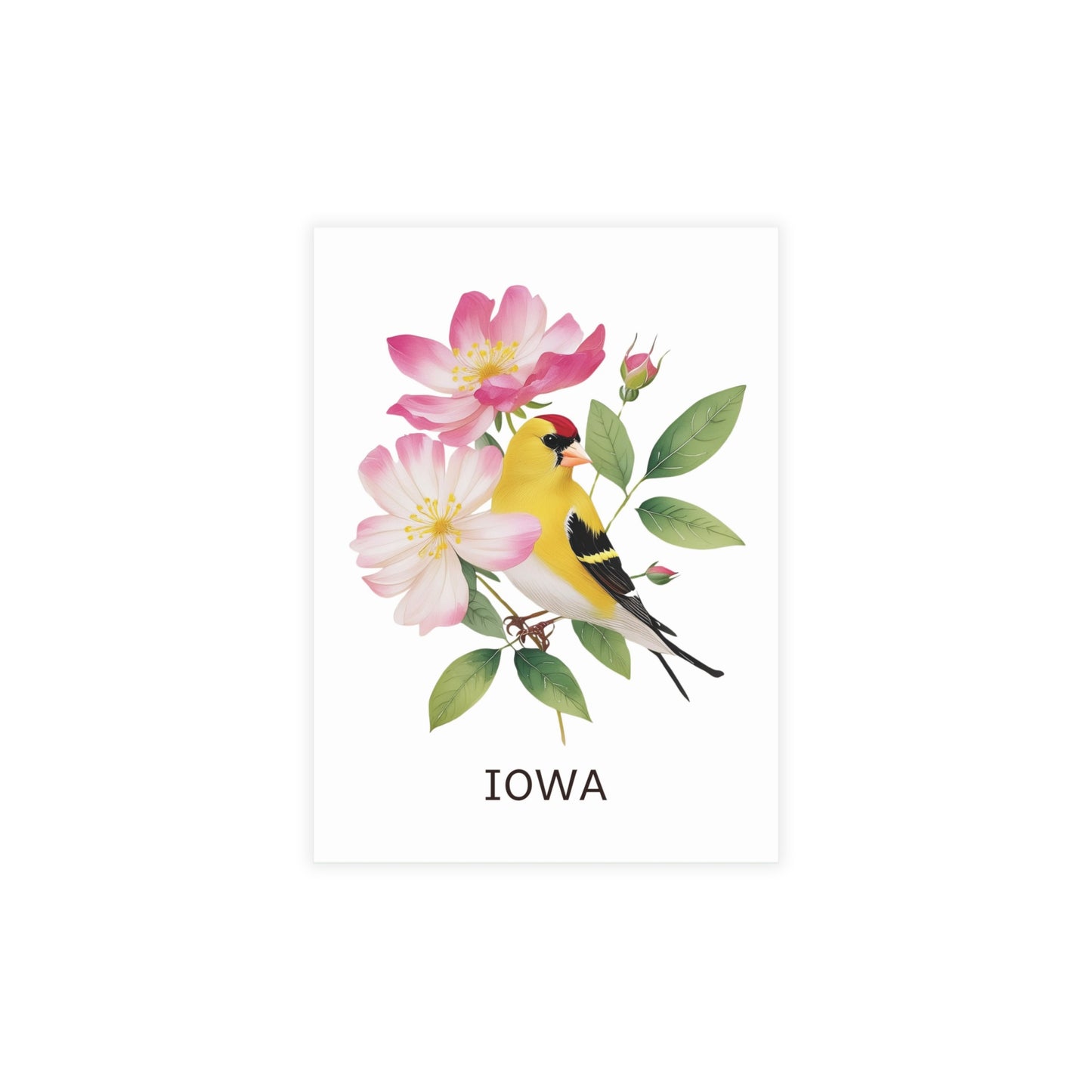 Iowa | Goldfinch & Prairie Rose | Home State Greeting Card