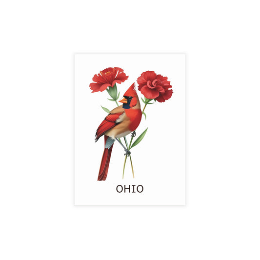 Ohio | Red Cardinal & Carnations | Home State Greeting Card