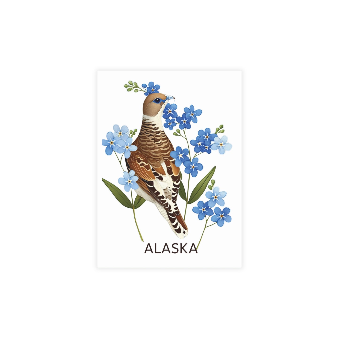 Alaska | State Bird and Flower | Home State Greeting Card