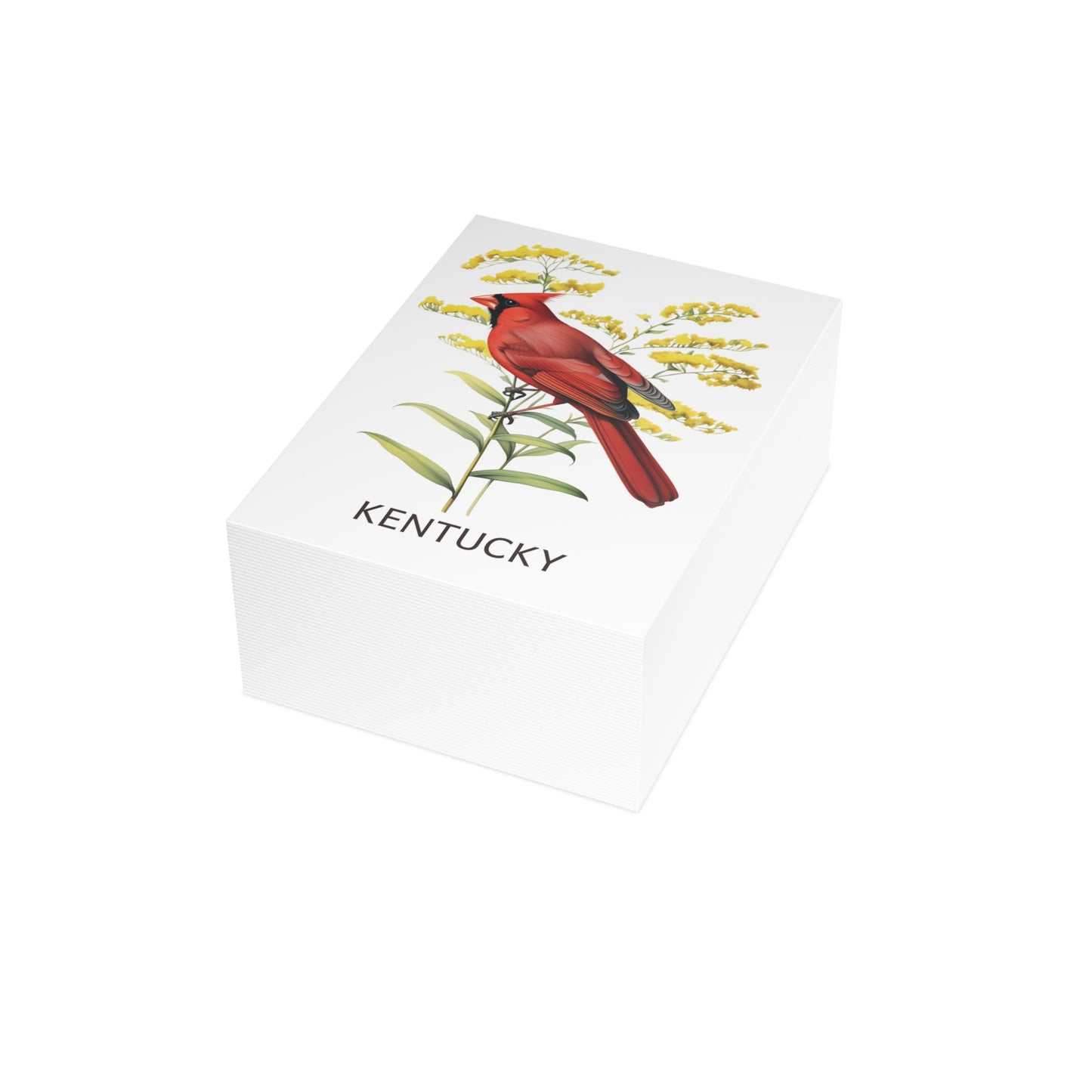 Kentucky | Red Cardinal & Goldenrod | Home State Greeting Card