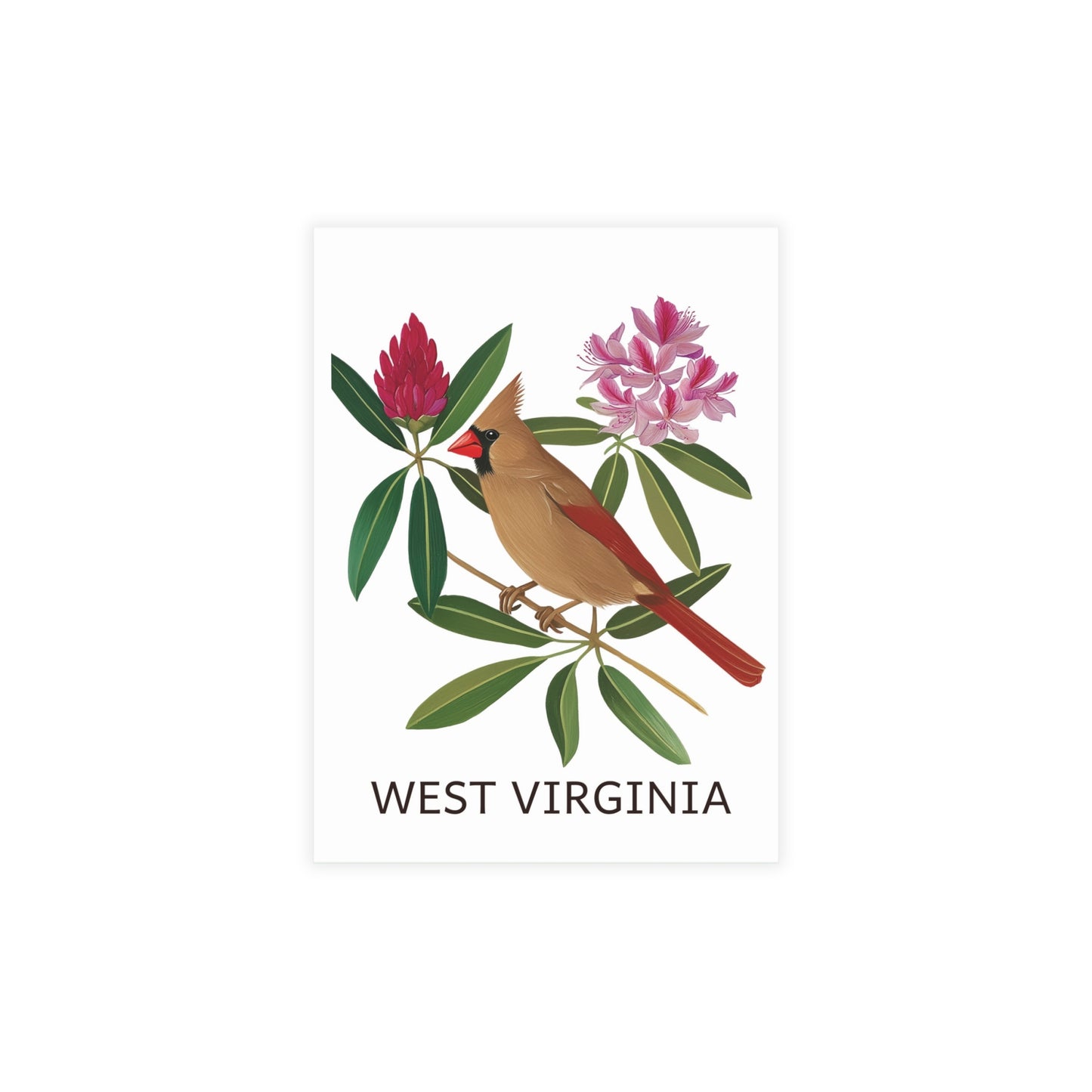 West Virginia | Cardinal & Rhododendrons | Home State Greeting Card