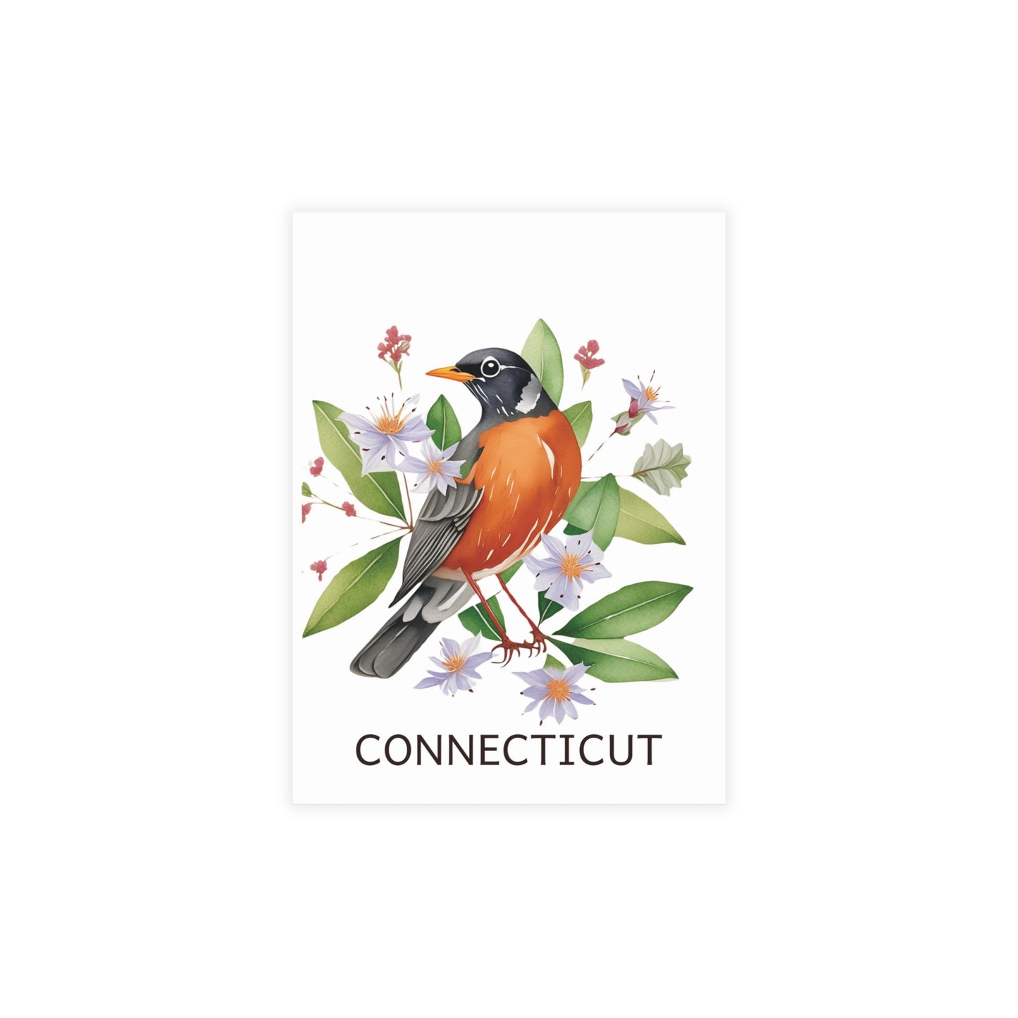 Connecticut | Robin & Mountain Laurel | Home State Greeting Card