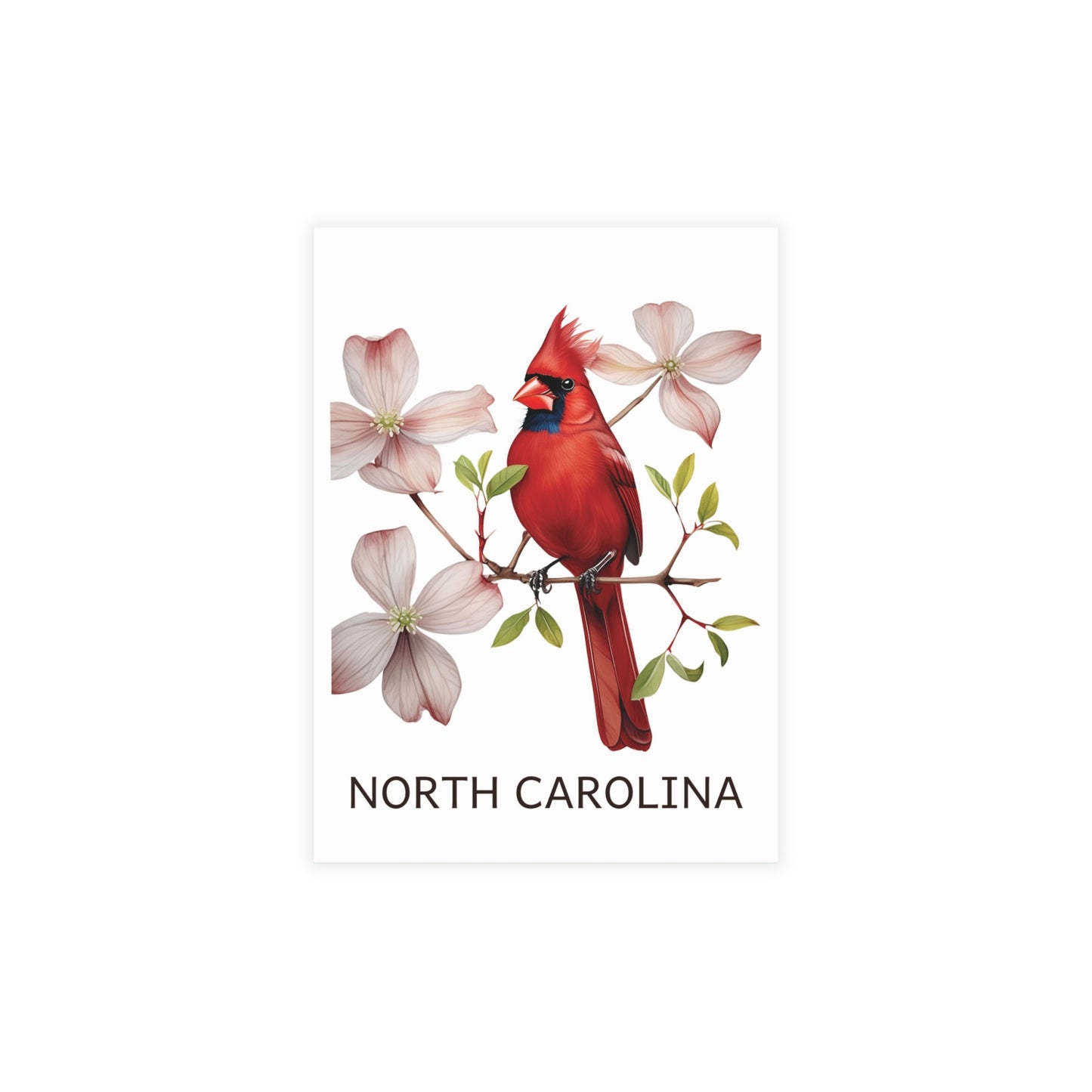 North Carolina | Cardinal & Dogwood Tree | Home State Greeting Card