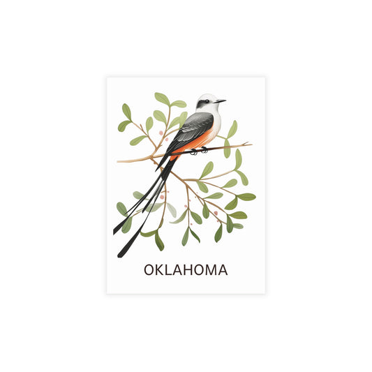 Oklahoma | Scissor-tailed Flycatcher | Home State Greeting Card