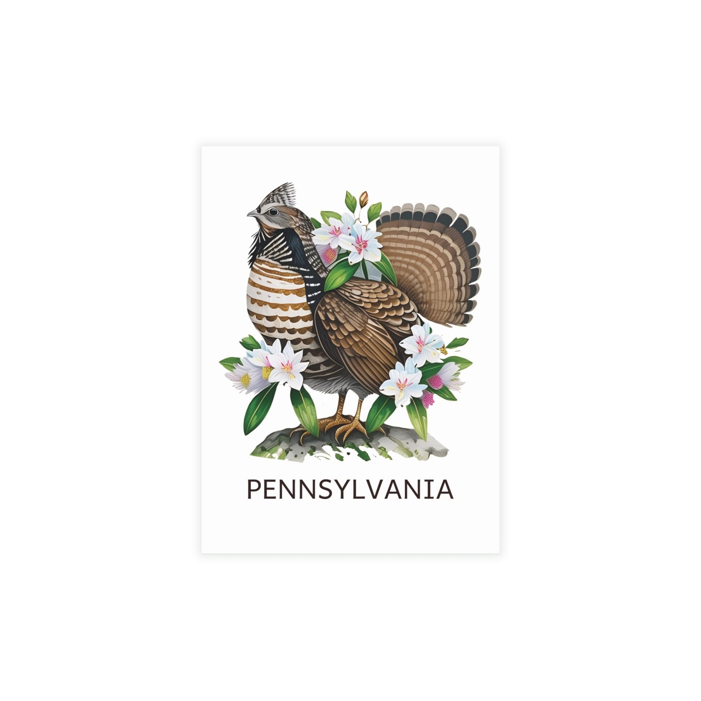 Pennsylvania | Ruffed Grouse & Mountain Laurel | Home State Greeting Card