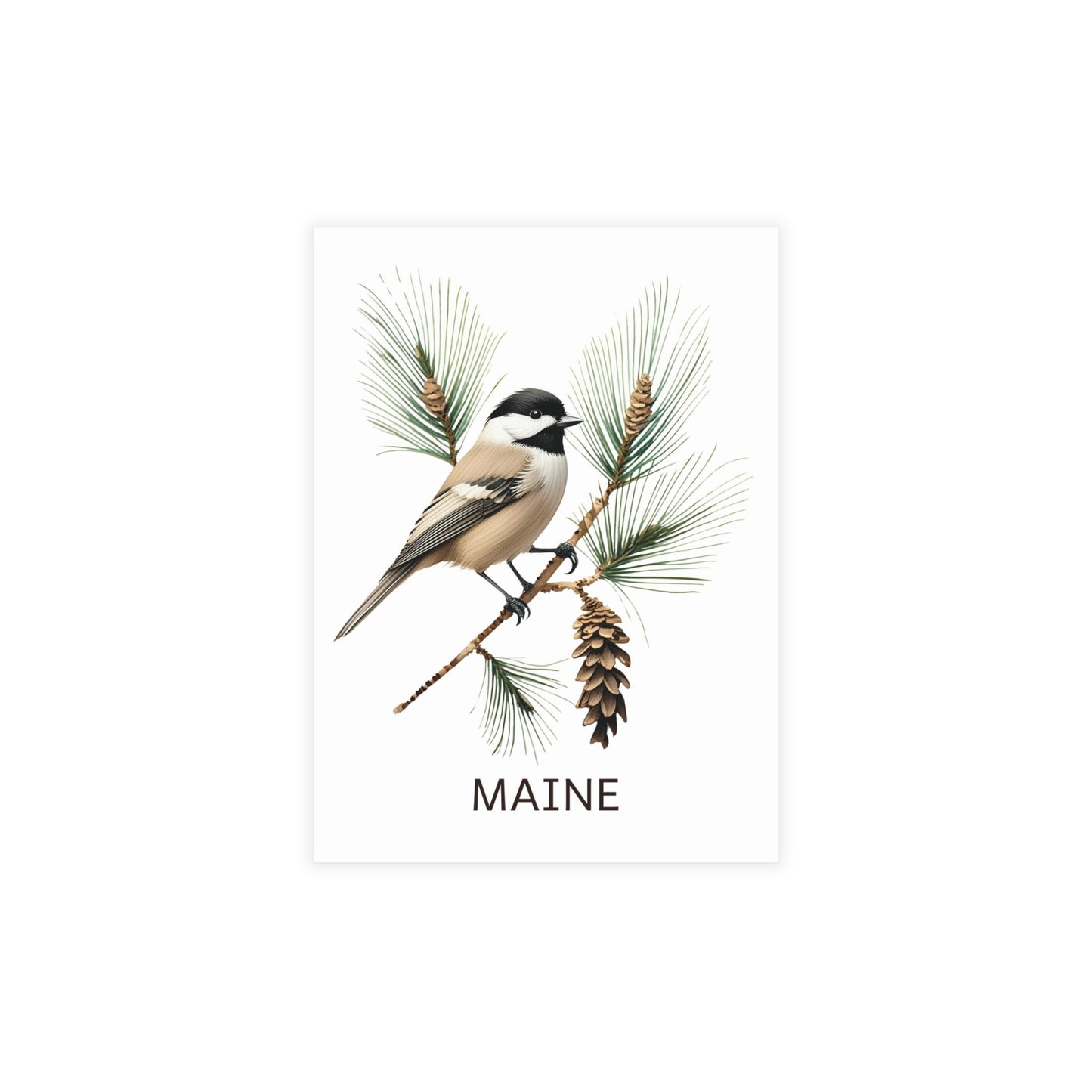 Maine | Chickadee & Pine Tree | Home State Greeting Card