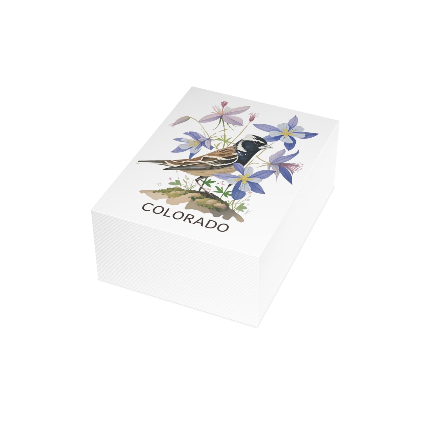 Colorado | Lark Bunting & Rocky Mountain Columbines | Home State Greeting Card