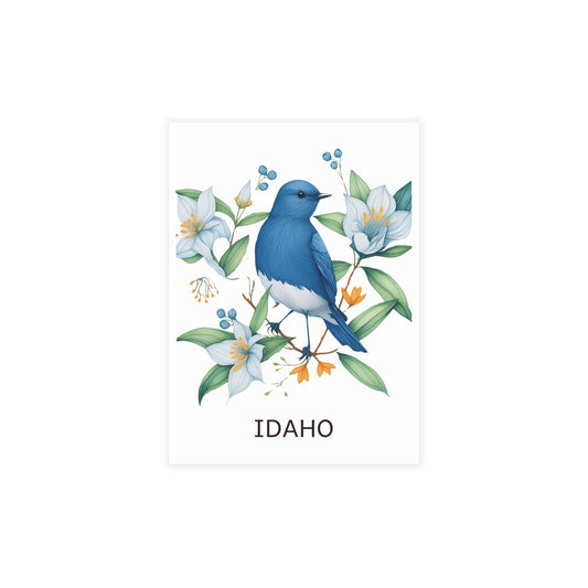 Idaho | Mountain Bluebird & Mock Orange | Home State Greeting Card