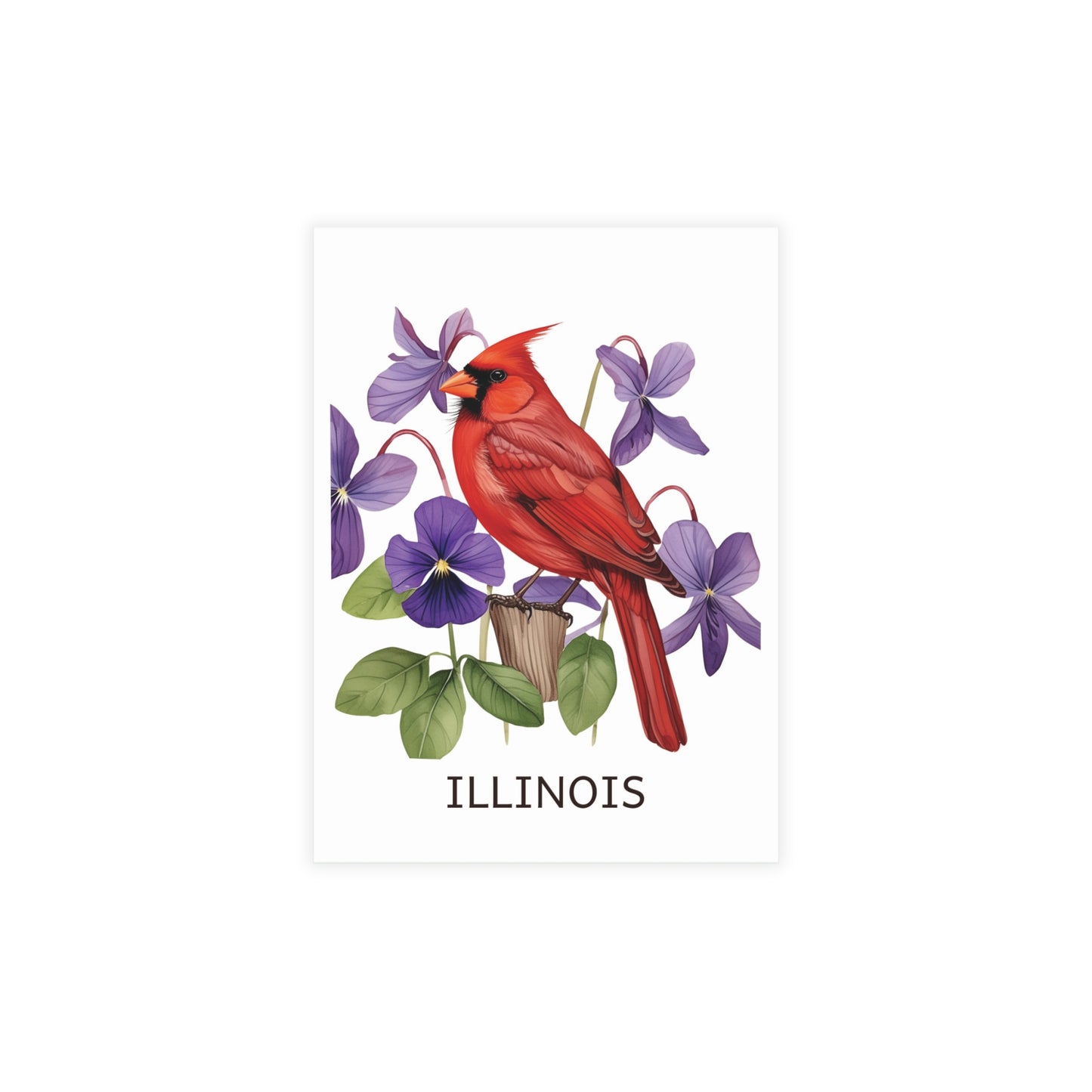 Illinois | Red Cardinal & Purple Violets | Home State Greeting Card