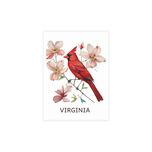 Virginia | Red Cardinal & Cherry Blossoms | Home State Greeting Card