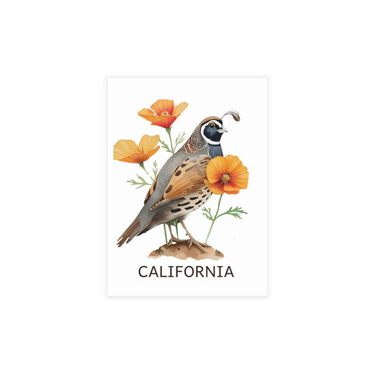 California | Valley Quail & Poppies | Home State Greeting Card