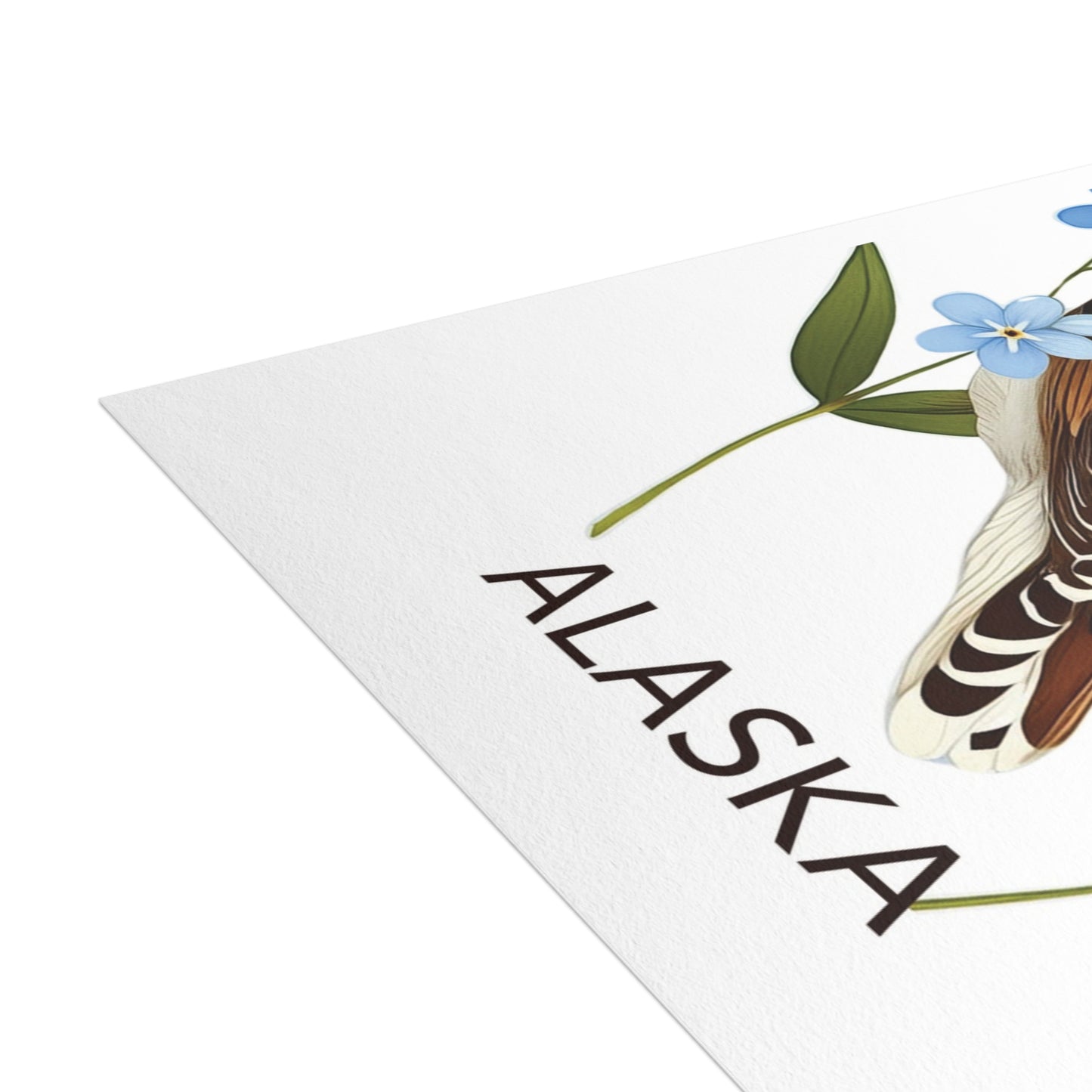 Alaska | State Bird and Flower | Home State Greeting Card