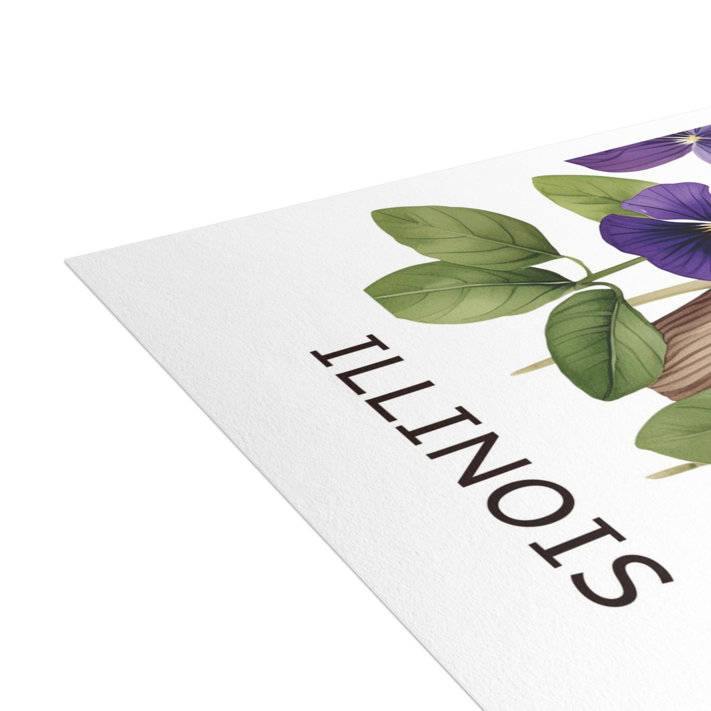 Illinois | Red Cardinal & Purple Violets | Home State Greeting Card