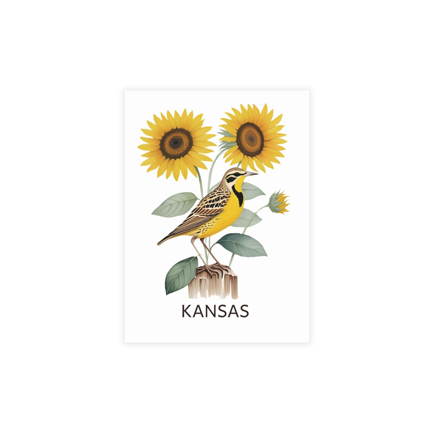 Kansas | Western Meadowlark & Sunflowers | Home State Greeting Card